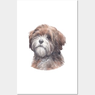 Tibetan Terrier Watercolor Art Posters and Art